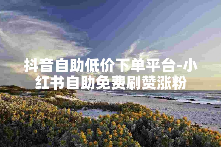 抖音自助低价下单平台-小红书自助免费刷赞涨粉