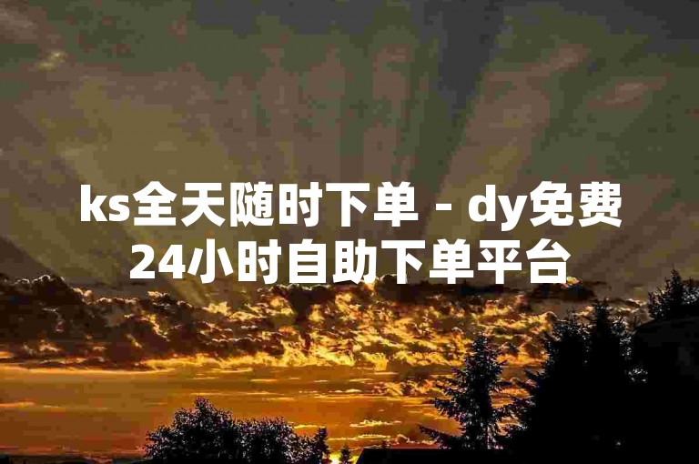 ks全天随时下单 - dy免费24小时自助下单平台