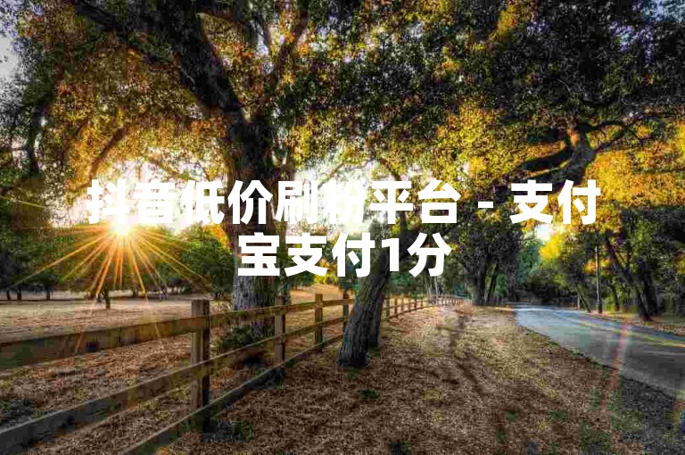 抖音低价刷粉平台 - 支付宝支付1分5000赞