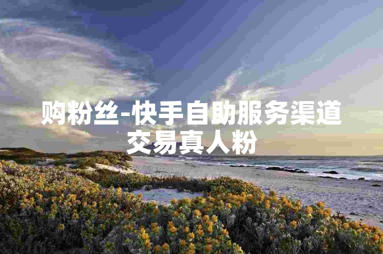 购粉丝-快手自助服务渠道交易真人粉