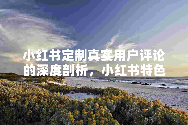 小红书定制真实用户评论的深度剖析，小红书特色真人评论技巧全攻略！2025必备
