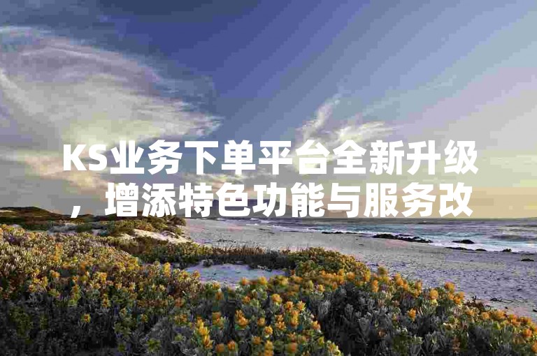KS业务下单平台全新升级，增添特色功能与服务改进
