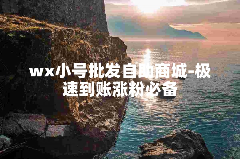 wx小号批发自助商城-极速到账涨粉必备