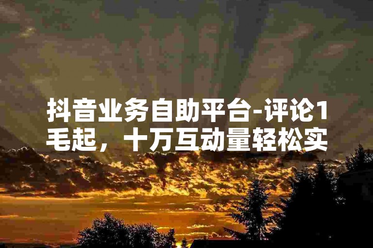 抖音业务自助平台-评论1毛起，十万互动量轻松实现