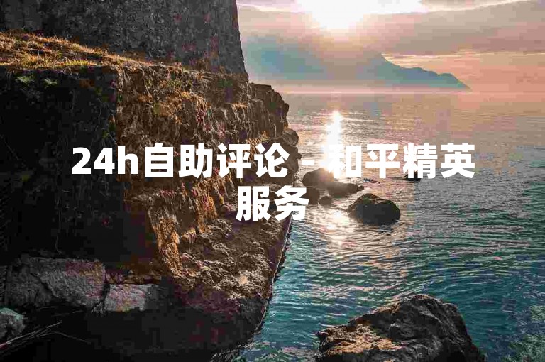 24h自助评论 - 和平精英服务