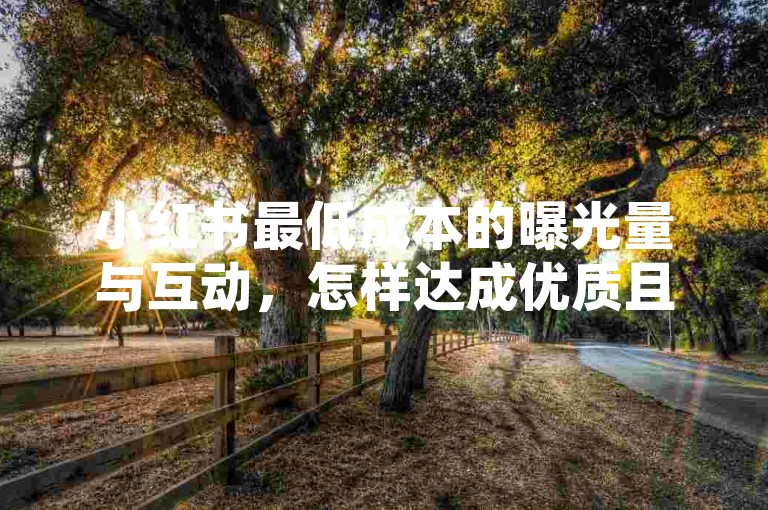 小红书最低成本的曝光量与互动，怎样达成优质且实惠的运营方案？