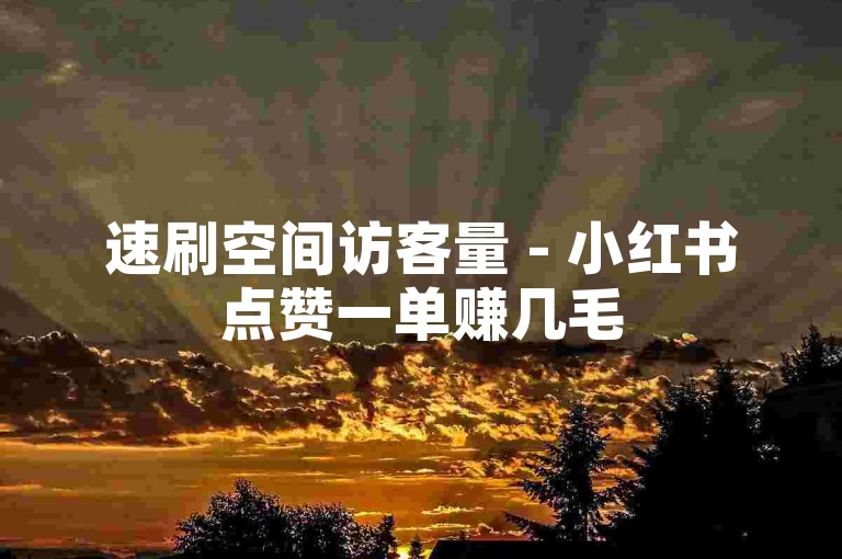 速刷空间访客量 - 小红书点赞一单赚几毛