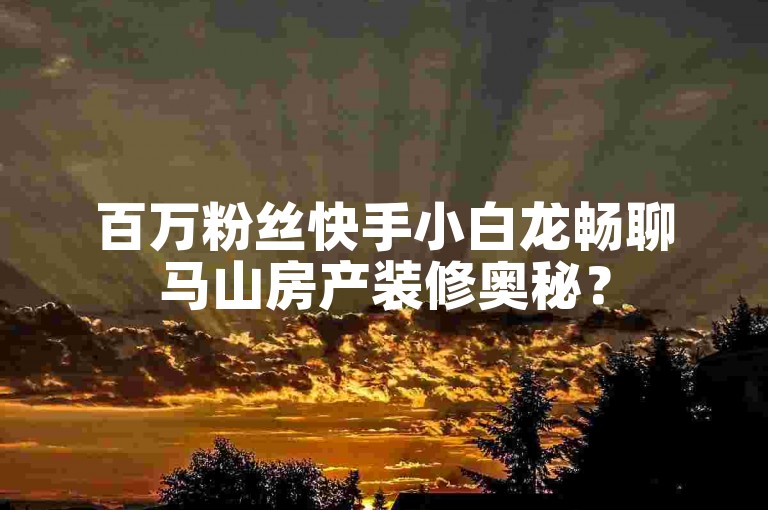 百万粉丝快手小白龙畅聊马山房产装修奥秘？