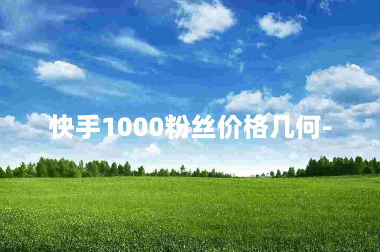 快手1000粉丝价格几何-