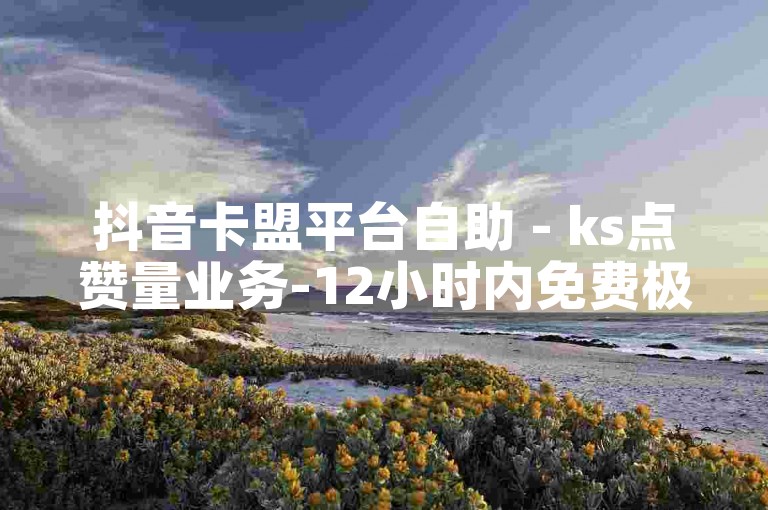 抖音卡盟平台自助 - ks点赞量业务-12小时内免费极速下单综合平台