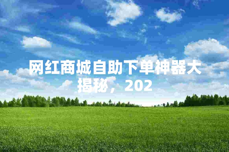 网红商城自助下单神器大揭秘，2025热门，畅享便捷购物体验