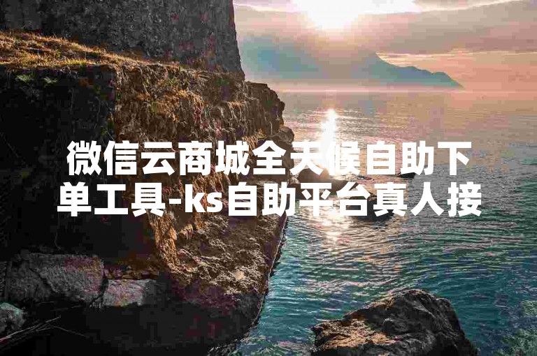 微信云商城全天候自助下单工具-ks自助平台真人接单服务详解