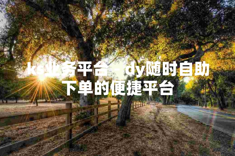 ks业务平台 - dy随时自助下单的便捷平台