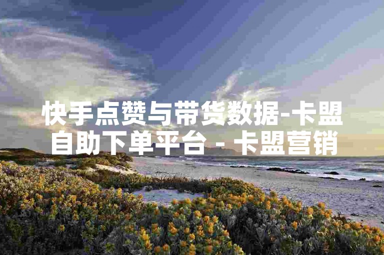 快手点赞与带货数据-卡盟自助下单平台 - 卡盟营销辅助工具