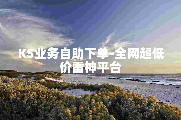 KS业务自助下单-全网超低价雷神平台