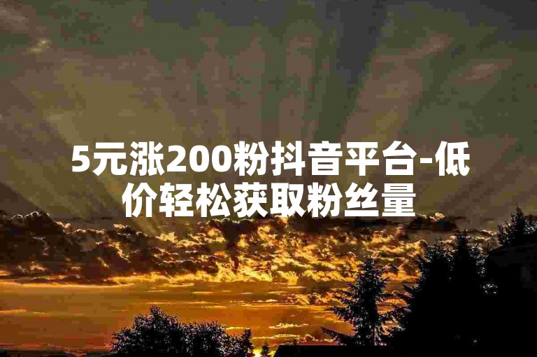 5元涨200粉抖音平台-低价轻松获取粉丝量
