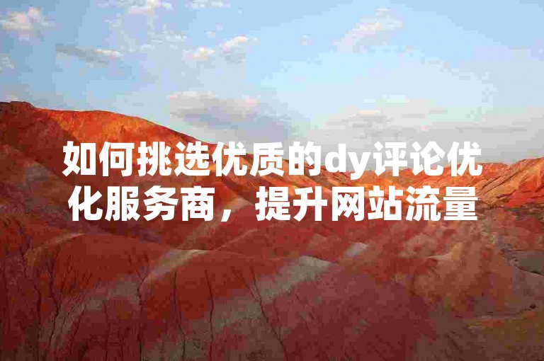 如何挑选优质的dy评论优化服务商，提升网站流量及转化效果