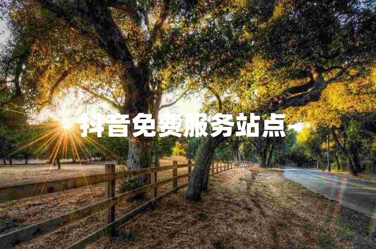 抖音免费服务站点-