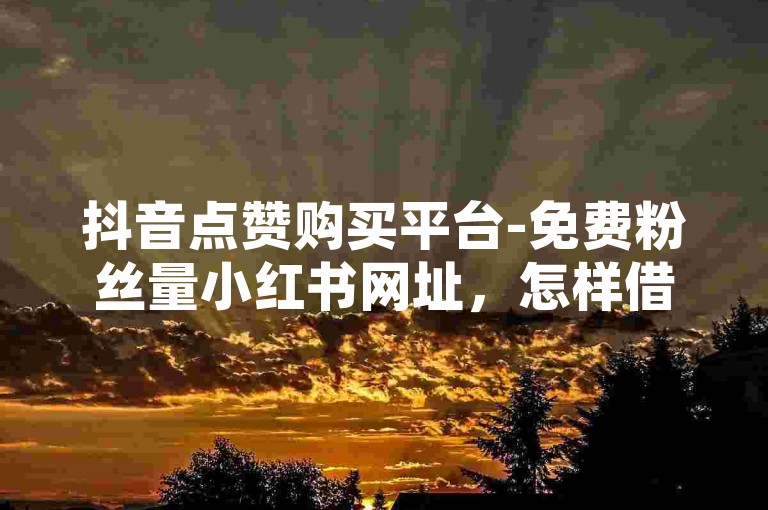 抖音点赞购买平台-免费粉丝量小红书网址，怎样借助小红书获取更多免费粉丝？