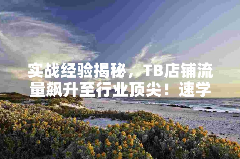 实战经验揭秘，TB店铺流量飙升至行业顶尖！速学打造爆款秘诀