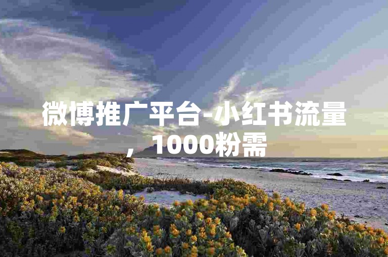 微博推广平台-小红书流量，1000粉需50元