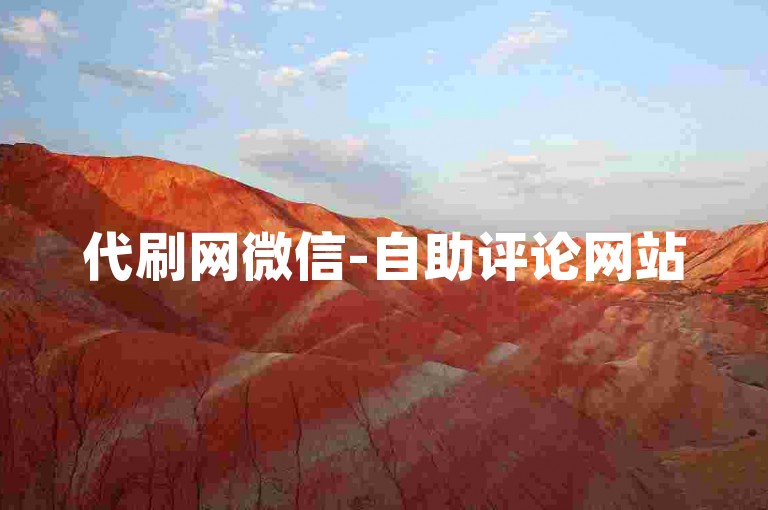 代刷网微信-自助评论网站