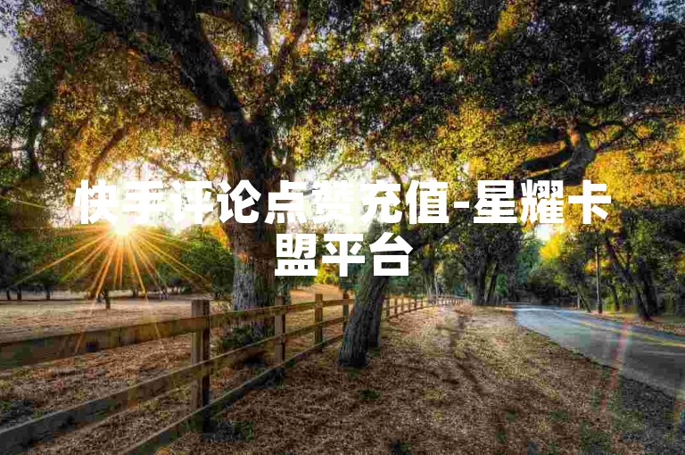 快手评论点赞充值-星耀卡盟平台