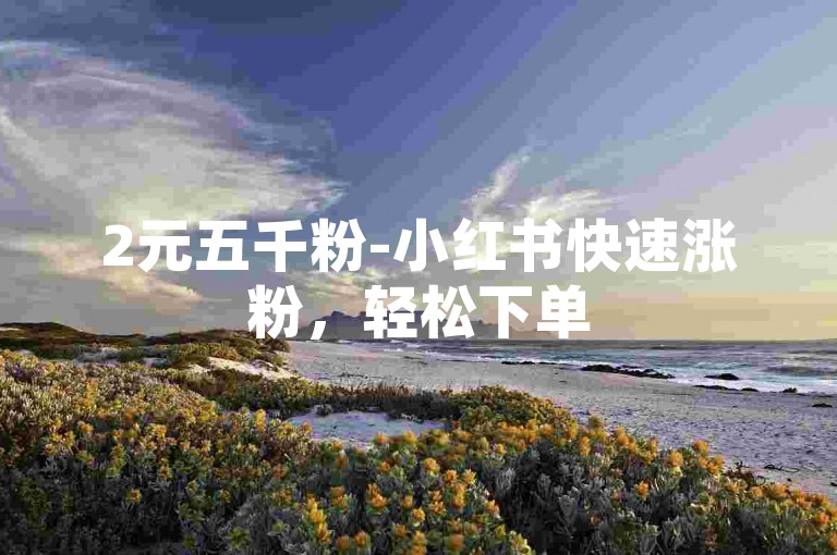 2元五千粉-小红书快速涨粉，轻松下单