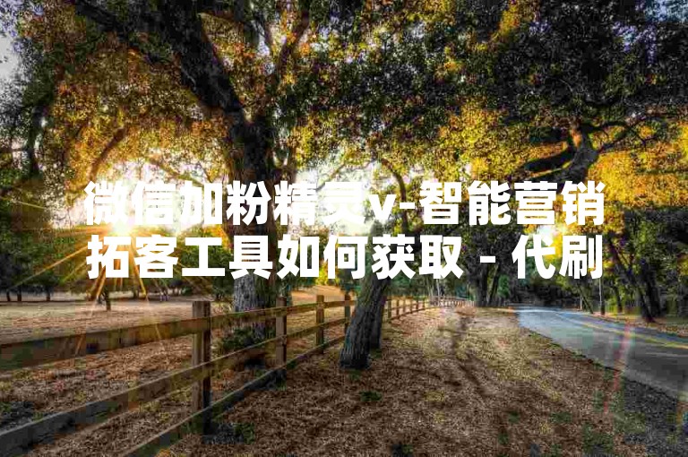微信加粉精灵v-智能营销拓客工具如何获取 - 代刷网门户站点 - 全平台优惠实时自助下单系统