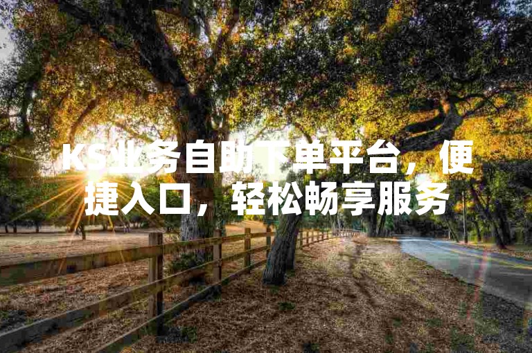 KS业务自助下单平台，便捷入口，轻松畅享服务