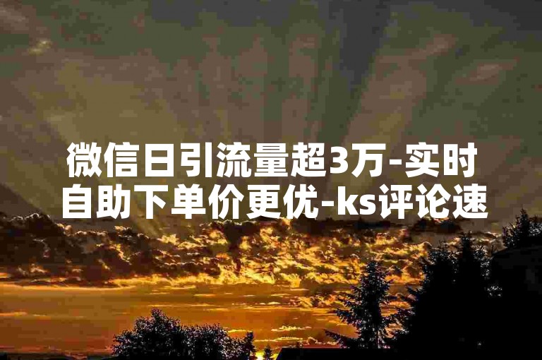 微信日引流量超3万-实时自助下单价更优-ks评论速到账-专业卡盟平台