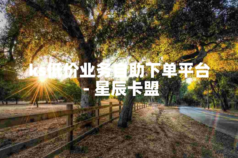 ks低价业务自助下单平台 - 星辰卡盟