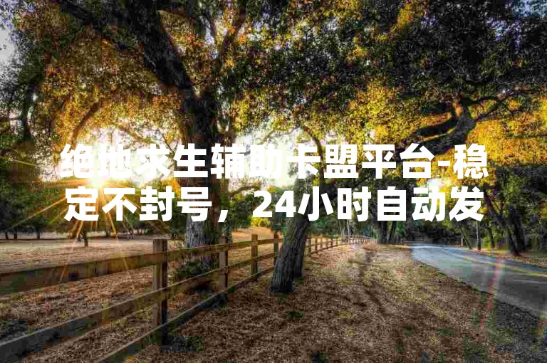 绝地求生辅助卡盟平台-稳定不封号，24小时自动发货！