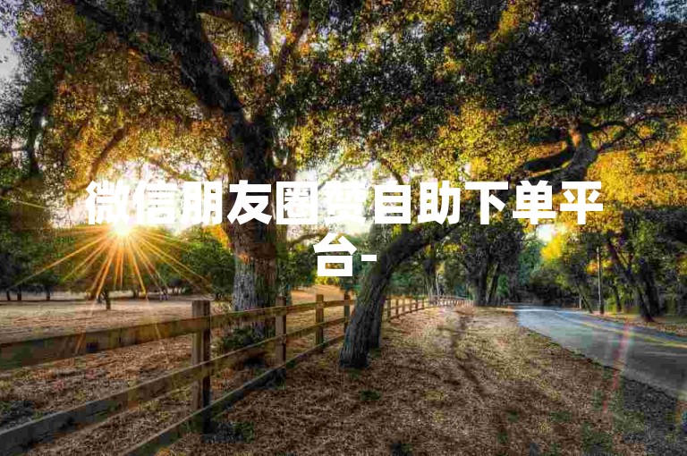 微信朋友圈赞自助下单平台-