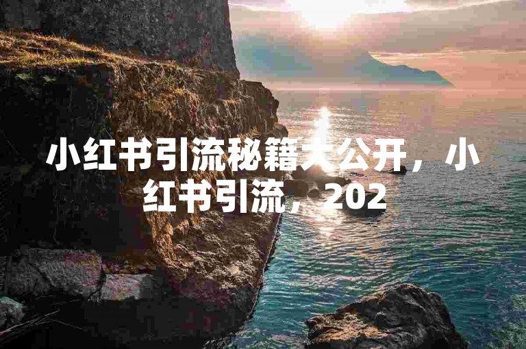 小红书引流秘籍大公开，小红书引流，2025年不可不知的高效涨粉技巧！