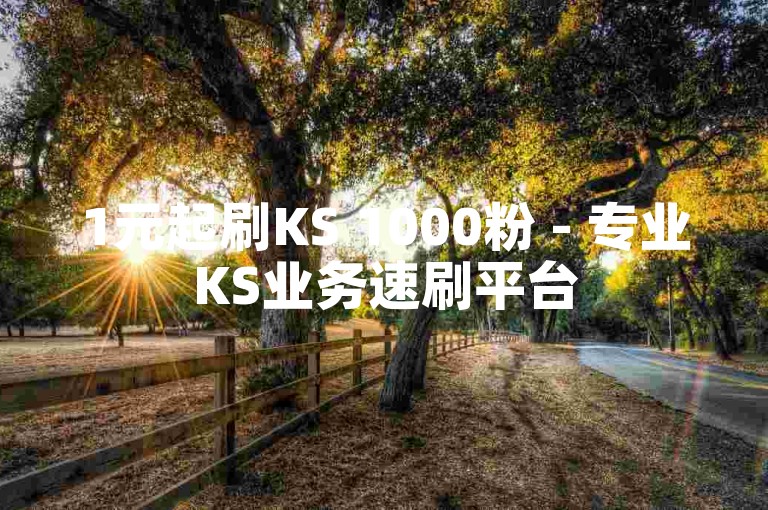 1元起刷KS 1000粉 - 专业KS业务速刷平台