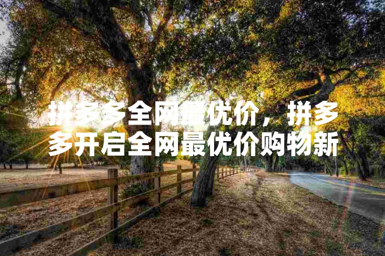 拼多多全网最优价，拼多多开启全网最优价购物新时代？PD低价好物点赞-淘宝点赞业务畅享无忧