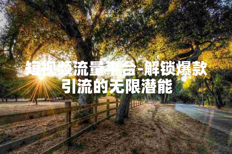 短视频流量平台-解锁爆款引流的无限潜能