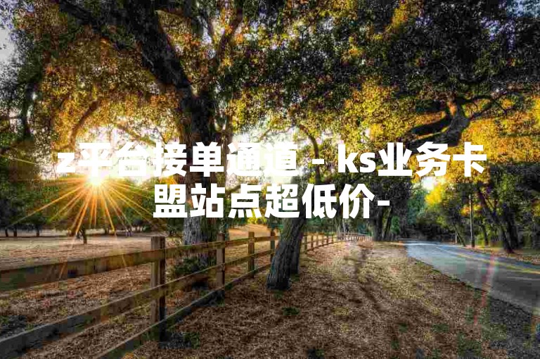 z平台接单通道 - ks业务卡盟站点超低价-