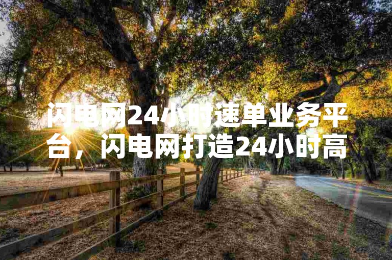 闪电网24小时速单业务平台，闪电网打造24小时高效速单服务平台？