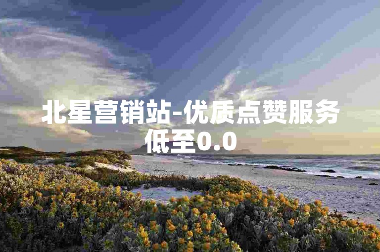 北星营销站-优质点赞服务低至0.05元起