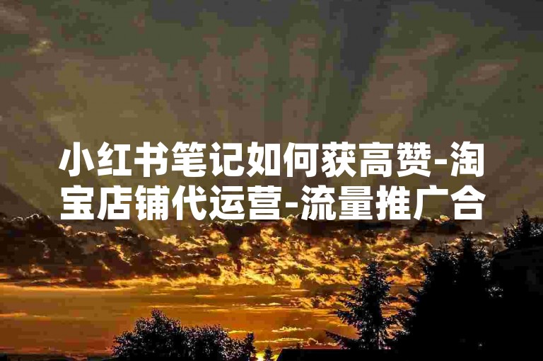 小红书笔记如何获高赞-淘宝店铺代运营-流量推广合作-电商货源平台