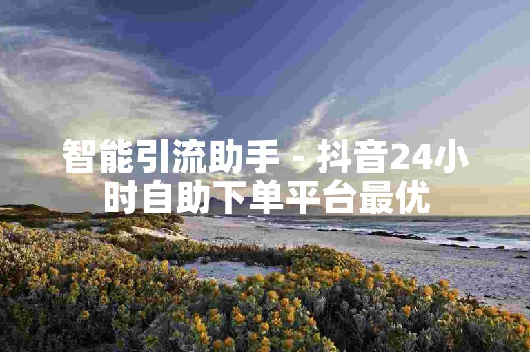 智能引流助手 - 抖音24小时自助下单平台最优