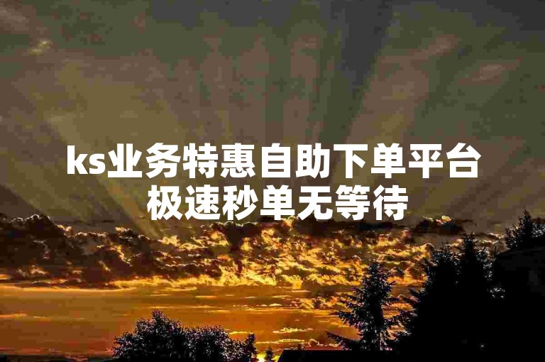 ks业务特惠自助下单平台 极速秒单无等待