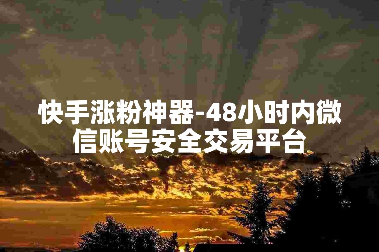 快手涨粉神器-48小时内微信账号安全交易平台