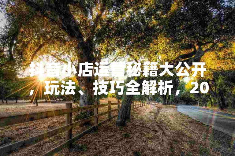抖音小店运营秘籍大公开，玩法、技巧全解析，2025必备攻略