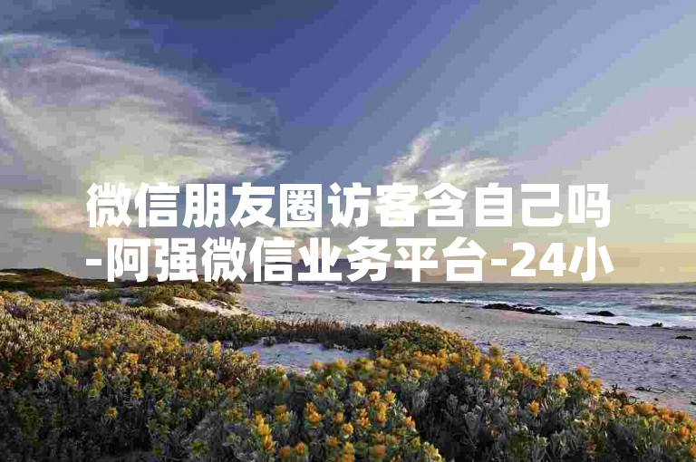 微信朋友圈访客含自己吗-阿强微信业务平台-24小时电商工具自助下单站-微信点赞支付