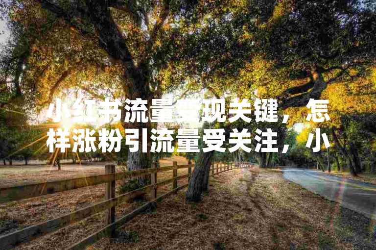 小红书流量变现关键，怎样涨粉引流量受关注，小红书点赞收藏业务低价平台-24小时自助下单站点微利大市场！
