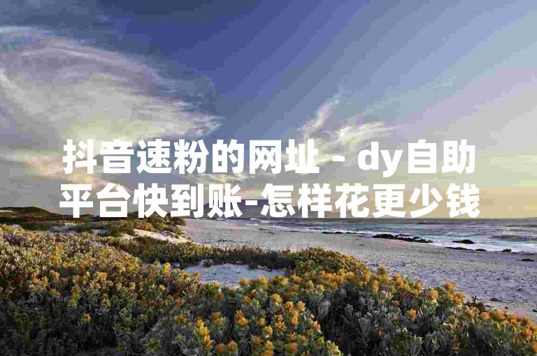 抖音速粉的网址 - dy自助平台快到账-怎样花更少钱买dy？