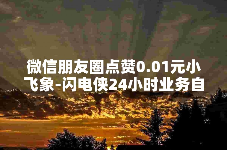 微信朋友圈点赞0.01元小飞象-闪电侠24小时业务自助下单平台-一键下单ks